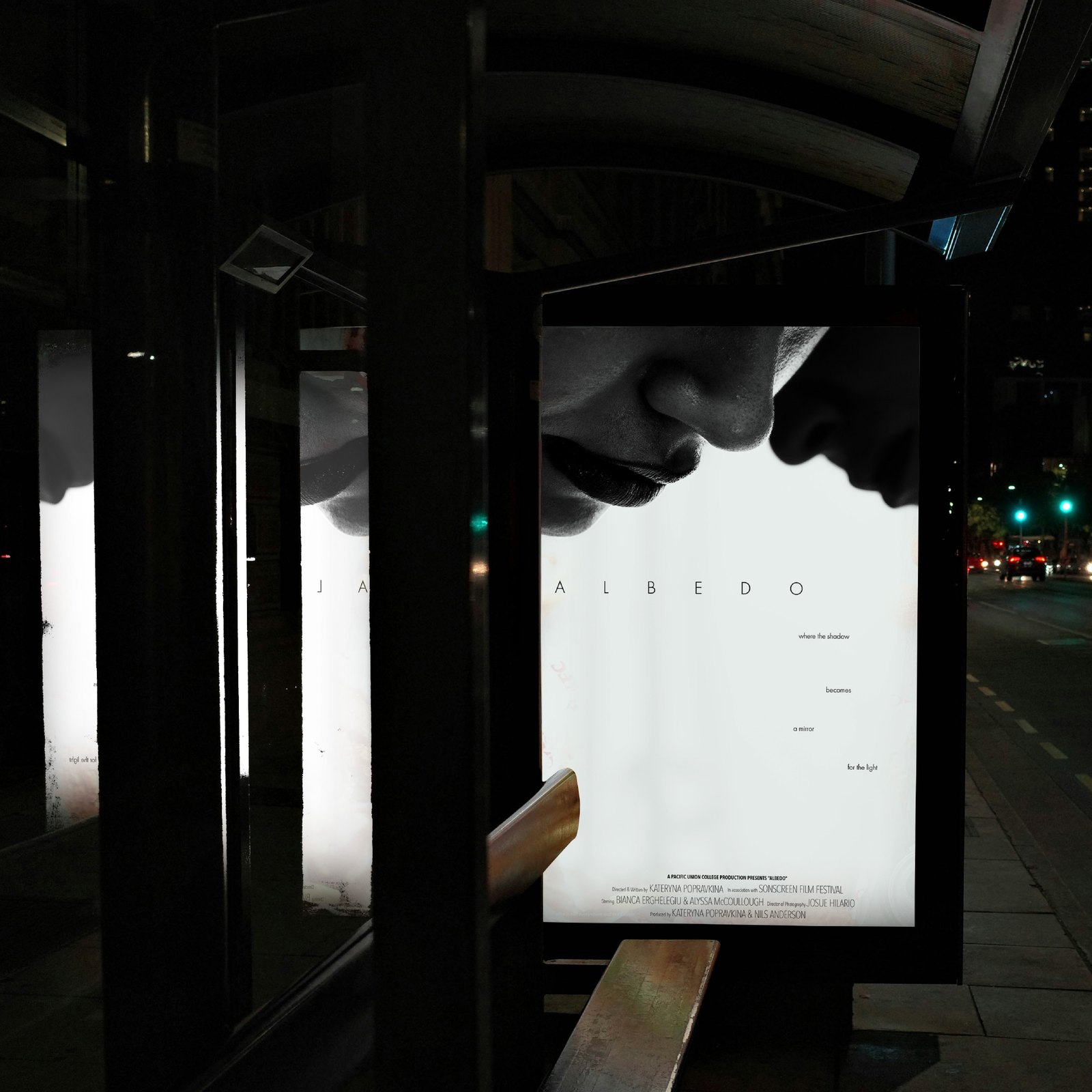 Albedo film poster on illuminated city bus stop at night