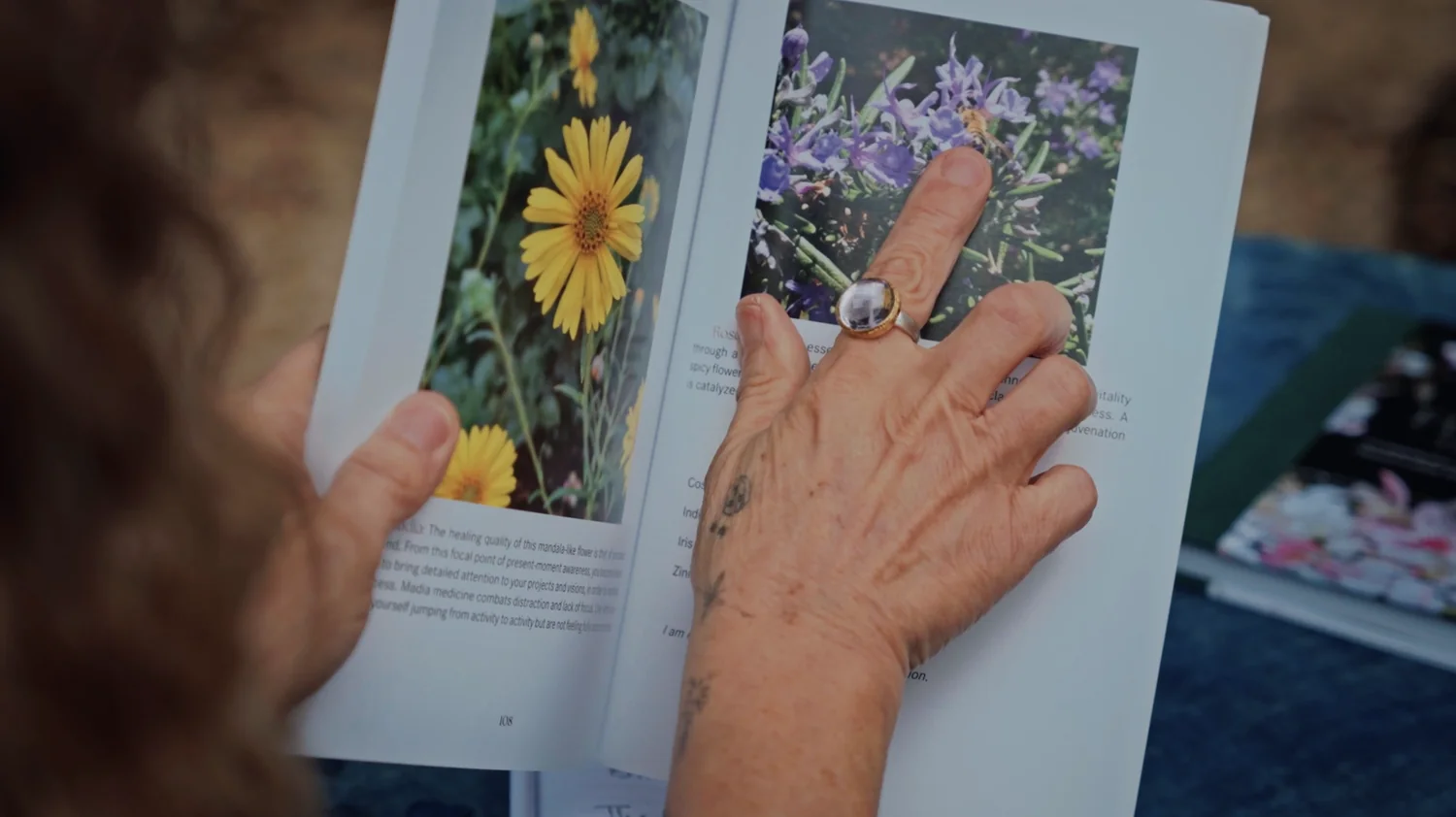 Dina Saalisi — inside the Art of Flower Therapy book